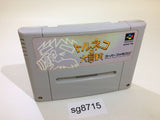 Torneco no Daibouken Fushigi no Dungeon SNES Super Famicom Japan - SG8715