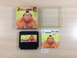 Terao no Dosukoi Ozumo Sumo BOXED NES Famicom Japan - UD8173