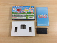 UD4430 Doubutsujima no Chobi Gurumi 2 Tama-chan BOXED GameBoy Advance Japan