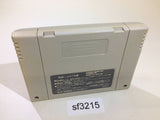 Populous SNES Super Famicom Japan - SF3215