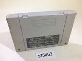 Sword World SFC 2 Inishie no Kyojin Densetsu SNES Super Famicom Japan - SF5462