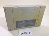 SC7572 Populous SNES Super Famicom Japan