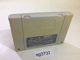 Mystery Dungeon Fushigi no Dungeon 2 SNES Super Famicom Japan - SG3737
