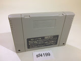 Haou Taikei Ryuu Knight Lord of Paladin SNES Super Famicom Japan - SF4199