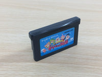 UD4430 Doubutsujima no Chobi Gurumi 2 Tama-chan BOXED GameBoy Advance Japan