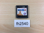 FH2540 Dragon Zakura Nintendo DS Japan