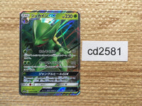 cd2581 Sceptile GX RR SM12a 010/173 Pokemon Card TCG Japan