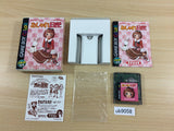 Oshare Nikki BOXED GameBoy Game Boy Japan - UB9058