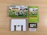 UD3401 Harvest Moon Friends of Mineral Town BOXED GameBoy Advance Japan