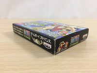 ud7312 One Piece Nanatsujima no Daihihou BOXED GameBoy Advance Japan