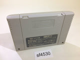 sf4530 The Great Battle 4 SNES Super Famicom Japan