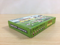 UD3401 Harvest Moon Friends of Mineral Town BOXED GameBoy Advance Japan