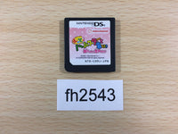 FH2543 Motto Hamster Nintendo DS Japan