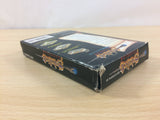 Solstice The Quest for the Staff of Demnos BOXED NES Famicom Japan - UC3176