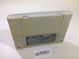 Mystery Dungeon Fushigi no Dungeon 2 SNES Super Famicom Japan - SH5561