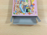 UD4540 Sylvanian Families 4 BOXED GameBoy Advance Japan