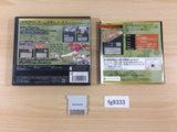 Raishi BOXED Nintendo 3DS Japan - FG9333