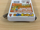 Robopon Sun Ver. Robot Ponkottsu BOXED GameBoy Game Boy Japan - UD1959