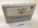 Torneco no Daibouken Fushigi no Dungeon SNES Super Famicom Japan - SE4979