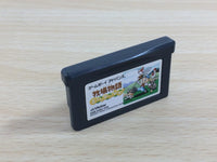 UD3401 Harvest Moon Friends of Mineral Town BOXED GameBoy Advance Japan