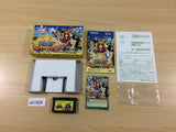 ub1826 One Piece Mezase King of Berry BOXED GameBoy Advance Japan