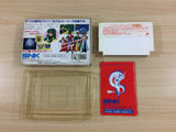 ub7409 Crystalis God Slayer Haruka Tenkuu no Sonata BOXED NES Famicom Japan