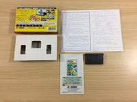 UD7313 Pinobee & Phoebee BOXED GameBoy Advance Japan