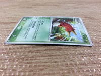 cb4101 Wurmple Grass C PCG2 006/082 Pokemon Card TCG Japan