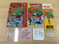 dg4231 Replicart BOXED Famicom Disk Japan