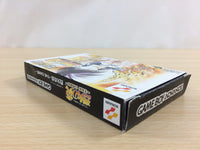 UD3402 Flame of Recca The Game BOXED GameBoy Advance Japan