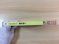 FG5087 YAKUZA PS2 Japan