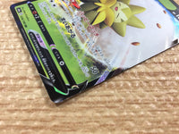 CB8117 Eldegoss V Grass RR S4a 016/190 Pokemon Card TCG Japan