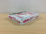 Hana Yori Dango Another Love Story BOXED GameBoy Game Boy Japan - UB3507