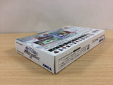 Erementar Gerad Huuin Sarashi Kyou BOXED GameBoy Advance Japan - UB6973