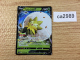 EldegossV Grass RR S4a 016/190 Pokemon Card TCG Japan - CA2989