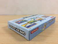ub7634 Wagamama Fairy Mirumo de Pon! BOXED GameBoy Advance Japan