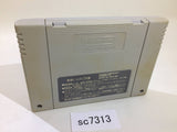 SC7313 Super Puyo Puyo SNES Super Famicom Japan