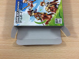 Tales of The World Summoner's Linage BOXED GameBoy Advance Japan - UC1309