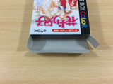 Hana Yori Dango Another Love Story BOXED GameBoy Game Boy Japan - UB3507