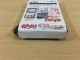 Hana Yori Dango Another Love Story BOXED GameBoy Game Boy Japan - UB3507