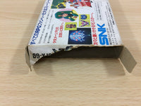 ub7409 Crystalis God Slayer Haruka Tenkuu no Sonata BOXED NES Famicom Japan
