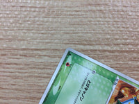 CB2850 Cacnea Grass - PCGQ-g 005/015 Pokemon Card TCG Japan