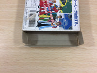 ub7409 Crystalis God Slayer Haruka Tenkuu no Sonata BOXED NES Famicom Japan