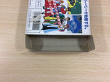 ub7409 Crystalis God Slayer Haruka Tenkuu no Sonata BOXED NES Famicom Japan