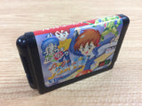 DH6749 Boogie Woogie Bowling BOXED Mega Drive Genesis Japan