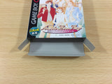 Hana Yori Dango Another Love Story BOXED GameBoy Game Boy Japan - UB3507