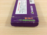 Princess Tomato in the Salad Kingdom BOXED NES Famicom Japan - UD6481