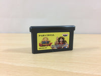 ub1826 One Piece Mezase King of Berry BOXED GameBoy Advance Japan