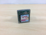 Hana Yori Dango Another Love Story BOXED GameBoy Game Boy Japan - UB3507