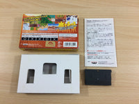 ub8774 Dragon Ball Z The Legacy of Goku II 2 BOXED GameBoy Advance Japan